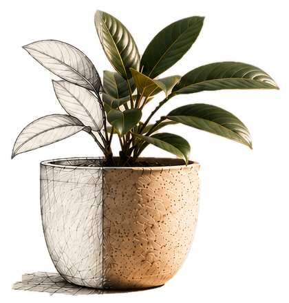 A potted plant rendered half as a fine-line botanical sketch and half as a photograph, symbolizing an idea taking root.
